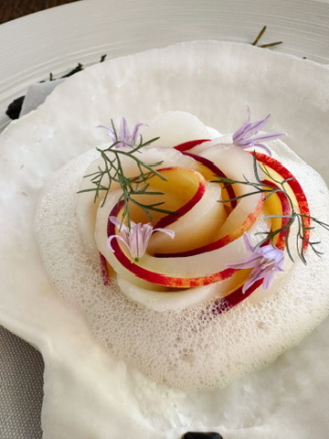 CC2FF749-48F3-489C-9089-4D39789BCD19_4_5005_c