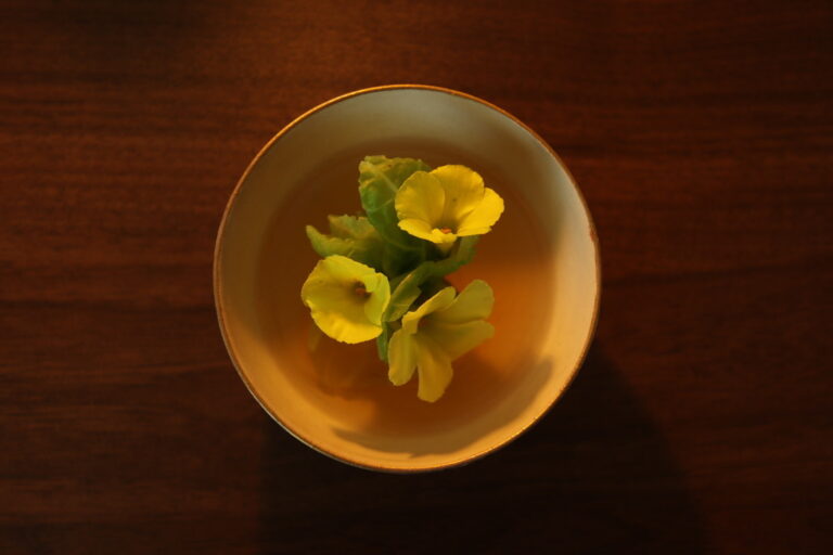 D431BC5D-AF19-46A1-966F-7A2D13170BD5_1_105_c